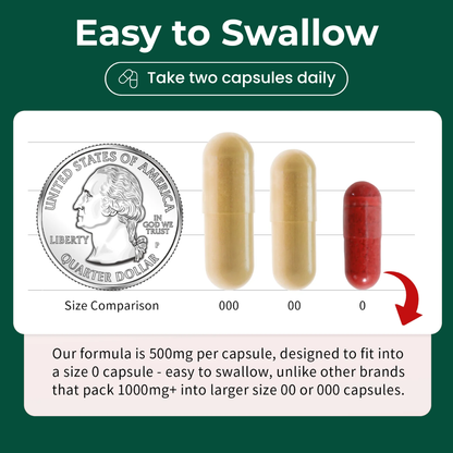 Red Yeast Rice Cleanse